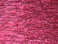 Plaque acrylique ondulée nacrée personnalisée, panneau à motif de coquille tourbillonnante irisée pour gravure laser DIY et décoration artisanale