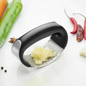 Hot Sale Küchen helfer Ingwer Fleischwolf Knoblauch brecher Handheld Edelstahl Knoblauch Rocker Knoblauch presse