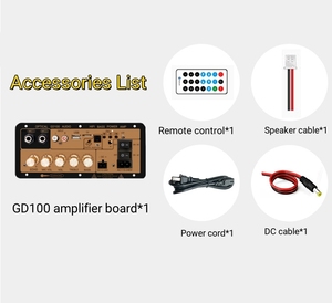 가정용 광섬유 입력 및 듀얼 <span class=keywords><strong>MIC</strong></span> 원격 제어 USB TF 수신기 앰프용 블루투스 전력 증폭기 보드 용 GD100 - Product Image 6