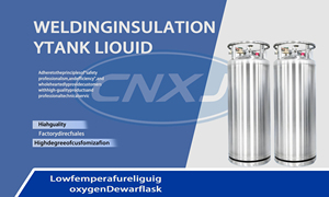 Cylindre <span class=keywords><strong>de</strong></span> stockage cryogénique vertical, réservoir sous pression d'oxygène liquide Dpl450-500-2.3, réservoir <span class=keywords><strong>de</strong></span> stockage portable - Product Image 6
