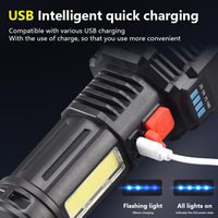 Lampe solaire de jardin 2022 10 LED COB blanc chaud, mini lampe portable avec batterie Ni-Mh intégrée, rechargeable par USB, ABS, étanche IP65