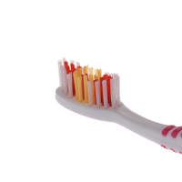 Brosse à dents avec poils en nylon moyens et gratte-langue, masseur de gencives pour adultes, usine de brosses à dents ODM OEM