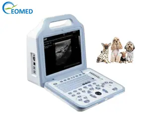 Dierenarts Apparatuur Hot Koop Goedkoopste Draagbare Ultrasound Scanner Machine Voor Dier Huisdier Veterinaire BW21Bvet