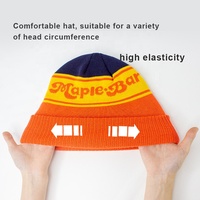 Bonnet d'hiver tricoté chaud et personnalisé en polyester Jacquard Skully Bonnet de créateur avec logo brodé sur mesure