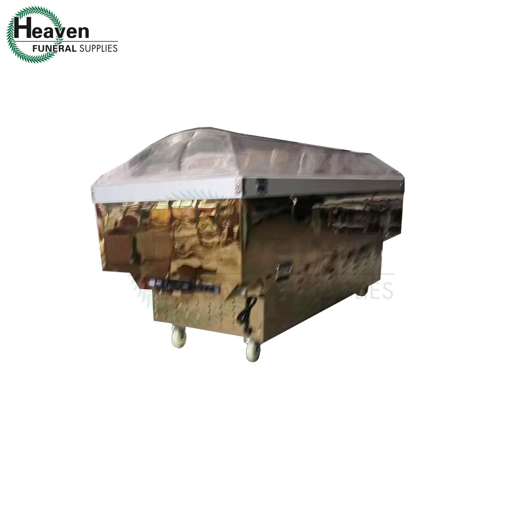 冷凍棺葬儀用品葬儀用品エアコン付きドラキュラ棺クリスタルアイス棺