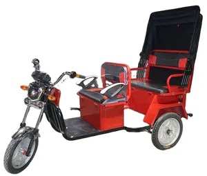 2023 the new design adult tricycle for two passenger 3 wheel electric bicycle