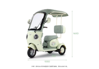 Venta Directa de Fábrica, Triciclos Eléctricos de Acero Personalizables, Modernos y Nuevos, Motor sin Escobillas de 60V, Autonomía Superior a 60 km, para Uso Doméstico