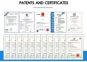 Macchina Automatica per Confezionamento di Bustine Irregolari da 10ml per Miele e Salse, Riempimento e Sigillatura di Gel e Stick - Product Image 5