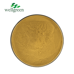 Wellgreen Natural Hot Selling Honeysuckle <strong>Flower</strong> <strong>Extract</strong> Bulk Sale Honeysuckle <strong>Extract</strong> - Product Image 3