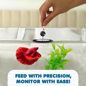 Anneau flottant pour <span class=keywords><strong>aquarium</strong></span>, mangeoire flottante pour poissons, forme circulaire carrée, plastique PVC pour intérieur - Product Image 2