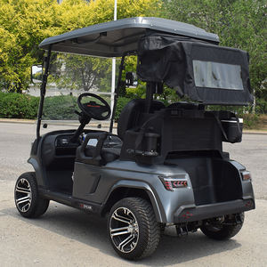 独特设计的电动高尔夫球车2座俱乐部车，带锂电池 - Product Image 5