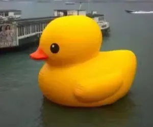 BOYAN Customized Funny Water Large Animal Float Inflatable Yellow Duck Advertising Inflatable Duck Floating Duck