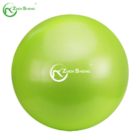 Zhengsheng jual panas grosir 20-25cm PVC kecil Yoga Pilates bola