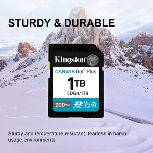 Tarjeta de Memoria Kingston SDG4 de 128GB, Plástica, Negra, para Creadores de Contenido, para Cámara y Teléfono - Product Image 4