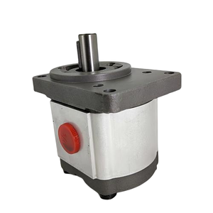 משאבות הידראוליות הילוך שמן pump1PF2G3-3X/026ln07mhl AZPB-20-3.15LNXXXMX AZPB-20-4.0LHXXXMX 1pf2g3-3x/026ln07mhn 1pf2g3-3x/026r07ms המפעל - Product Image 4