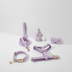 Correa de perro de pana lavanda. Intervenga para niña perro. Cachorro con lazo personalizado. Conjunto de arnés y correa para collar de perro - Product Image 1