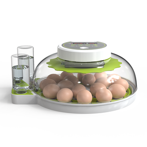 <span class=keywords><strong>Incubateur</strong></span> automatique à 18 œufs pour poulet à couver oie pigeon caille canard - Product Image 2