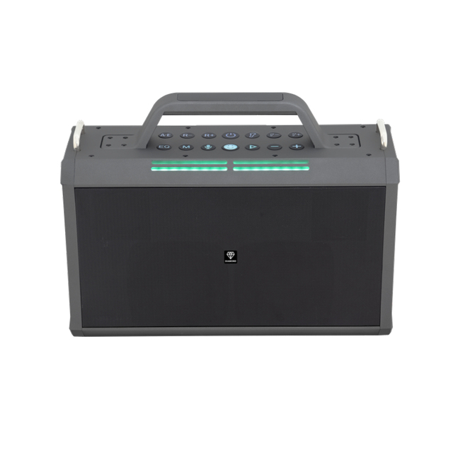 Hi-Fi Portable Party Speaker for Adults, with AUX, TF ,FM, TWS, EQ, ECHO
