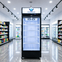 Réfrigérateur professionnel vertical à porte vitrée avec évaporateur en cuivre pur, sans givre, pour supermarché et commerce de détail