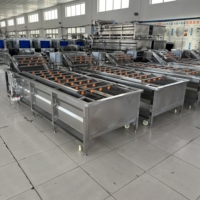 Industriële fruit- en groentewasmachine met bubbels, commerciële reiniger, 304 roestvrij staal, voedselveilige wasmachine
