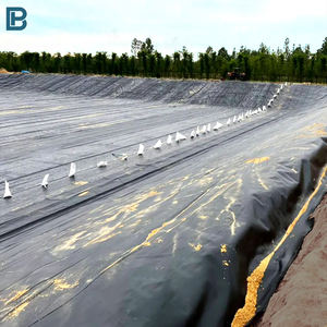 แผ่นใยสังเ<span class=keywords><strong>ครา</strong></span>ะห์ HDPE สีดำทันสมัย หนา 1 มม. เป็นมิตรกับสิ่งแวดล้อม กันน้ำ ทนทาน ใช้เป็นแผ่นรองพื้นสำหรับ<span class=keywords><strong>บ่อ</strong></span><span class=keywords><strong>ปลา</strong></span> <span class=keywords><strong>บ่อ</strong></span><span class=keywords><strong>ปลา</strong></span>คาร์<span class=keywords><strong>ฟ</strong></span> ใช้งานกลางแจ้ง - Product Image 3