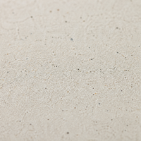 Carrelage en terrazzo vitrifié finition mate moderne 600x600mm pour hôtel, restaurant, extérieur