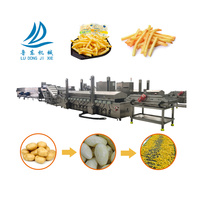 Commerciële Volautomatische Bevroren Fruitchips Aardappelmachine Snijden Frietsnijder Bevroren Frietjes Productielijn