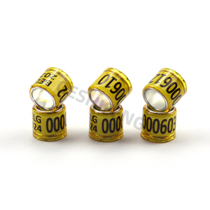 Bagues 2024 de 8 mm de diamètre intérieur et 10,3 mm de hauteur en vente - Product Image 1