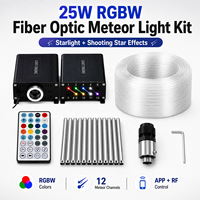 Kit de plafonnier à fibres optiques RVBW 25W, 12 canaux, effet ciel étoilé pour voiture et home cinéma