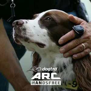 Collar de Adiestramiento para Perros Dogtra Arc, Manos Libres, de Plástico, con Control Remoto Recargable para Control de Ladridos con Descarga Eléctrica - Product Image 4