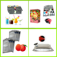 Machine de remplissage aseptique pour jus, lait, vin rouge, huile, mayonnaise, sauce, miel, liquide d'œuf, avec système de capsulage Bag-in-Box
