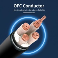 Wetterfestes LSZH PVC-Isoliertes Elektrokabel YJV 0,6kV 3-adrig 35-70mm2 XLPE-Stromkabel für Außentunnel