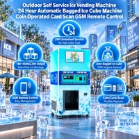 Distributeur automatique de glace en libre-service pour l'extérieur, 24h/24, machine à glaçons en sachets, fonctionnement par pièces, lecture de carte, contrôle à distance GSM