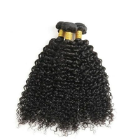Bridger Hair Lots de mèches bouclées Jerry, Cheveux humains 100% vierges brésiliens Remy, en vrac, pour tressage et crochet pour femmes noires, double trame 10A