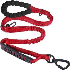 Correa Doble para Perro de Nailon con Liberación Rápida, Reflectante y Acolchada para Seguridad en el Tráfico de Mascotas - Product Image 1