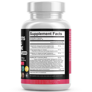 Fadogia Agrestis Cápsulas Turkesterone Suplementos para el cuidado de la salud Gomitas Suplementos para culturismo - Product Image 2