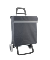Caddie de courses pliable avec poignée télescopique, chariot de courses pliable pour la maison, chariot de voyage pour personnes âgées
