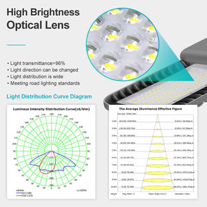 <span class=keywords><strong>Lampadaires</strong></span> solaires LED séparés BOSUN 80W 100W pour extérieur, IP65, avec contrôleur MPPT, en aluminium, en promotion - Product Image 5