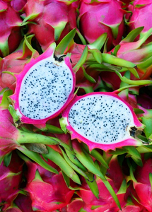 Verse Dragon Fruit, Rood en Wit Vlees, Zoet & Sappig, Biologisch Tropisch Fruit, Groothandel