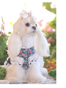 Falda Floral de Poliéster Personalizada de Lujo para Perros Pequeños, Bichones, Malteses, Fiesta de Té de Primavera - Product Image 6