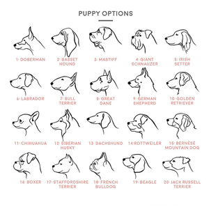 <span class=keywords><strong>Collier</strong></span> de chien <span class=keywords><strong>Chihuahua</strong></span> personnalisé en acier inoxydable plaqué or <span class=keywords><strong>collier</strong></span> de portrait d'animal de compagnie personnalisé avec nom bijoux commémoratifs pour animaux de compagnie - Product Image 4