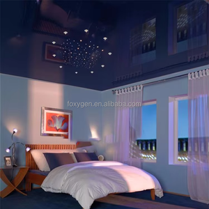 <span class=keywords><strong>Film</strong></span> de plafond extensible en PVC personnalisé pour la décoration pendant les nuits d'<span class=keywords><strong>horreur</strong></span> d'Halloween à vendre - Product Image 1