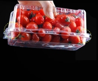 Boîte d'emballage en plastique PET transparent biodégradable de 500 g 1000 g pour herbes fraîches, laitue, légumes, micro-pousses, emballage en blister