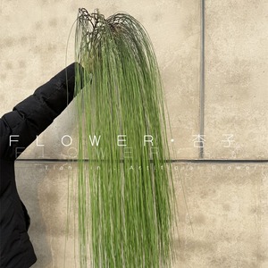 Une plante verte suspendue derrière le rideau, 140 cm, en plastique, décoration de mariage, accessoires de photographie en extérieur, décoration intérieure - Product Image 4