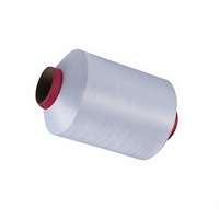 Fil chenille DTY spécifique aux rubans d'étiquettes, en fibre chimique, 100D, polyester blanchi, XS003, Jinjiang, stock disponible, fourniture directe