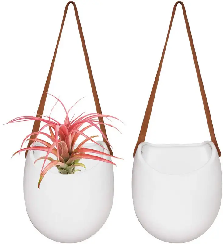 Muur Planter Set 2, grote Plant Potten 19X14.5 Cm Ongeglazuurde Keramische Air Plant Houder Indoor Outdoor Succulent Bloempotten