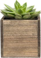 Jardinière carrée en bois Boîte de fenêtre décorative intérieure Boîte de jardinière avec doublure en plastique amovible