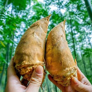 Высококачественные свежие овощи из Китая-холодная сетка, продукт из корня бамбука - Product Image 3