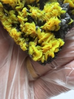 Cristal d'autunite vert fluorescent naturellement présent, bloc minéral de forme cubique, provenant de l'extraction locale du Hunan, collection de spécimens