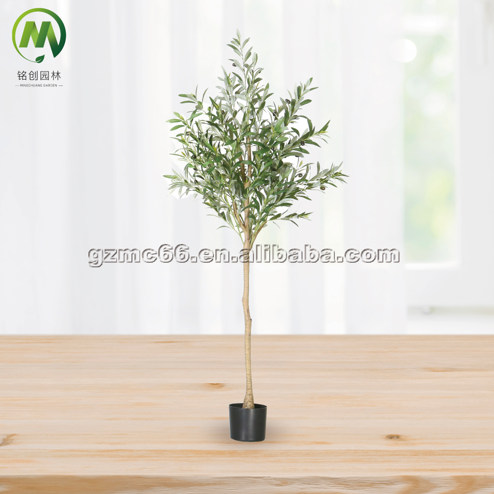olive tree A - 150cm